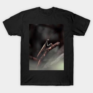 praying mantis T-Shirt